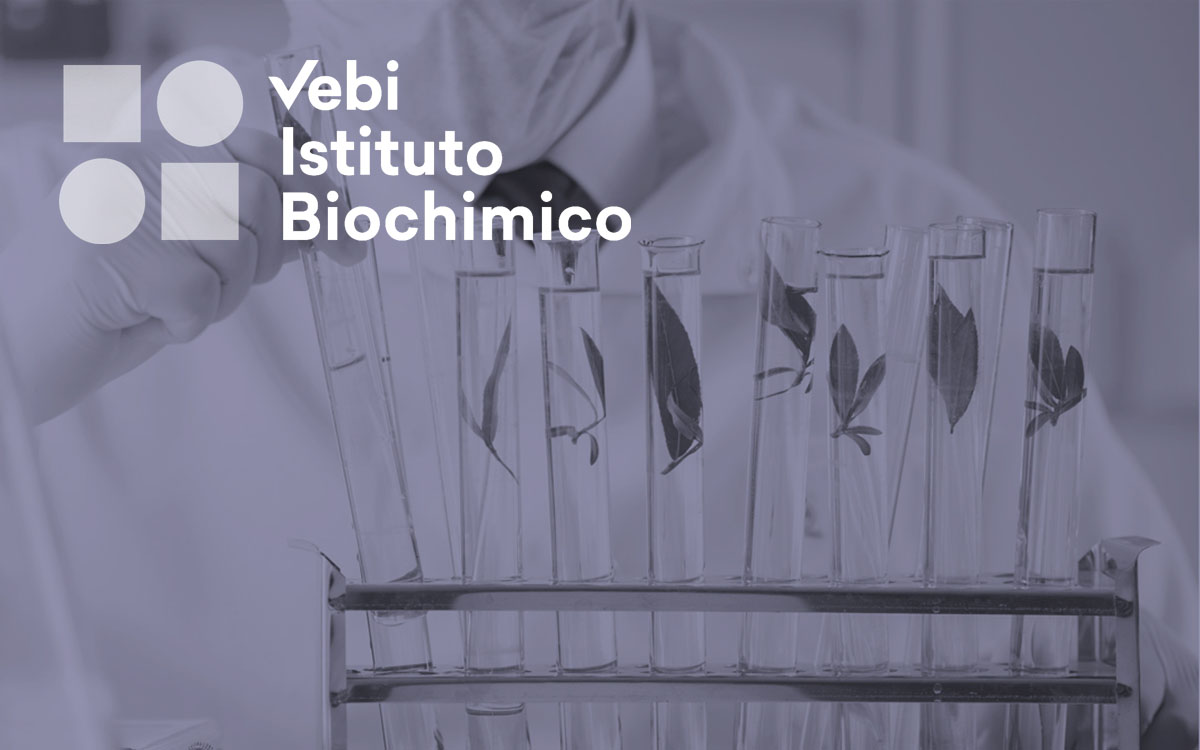 vebi istituto biochimico software gestione agenti order sender enterprise