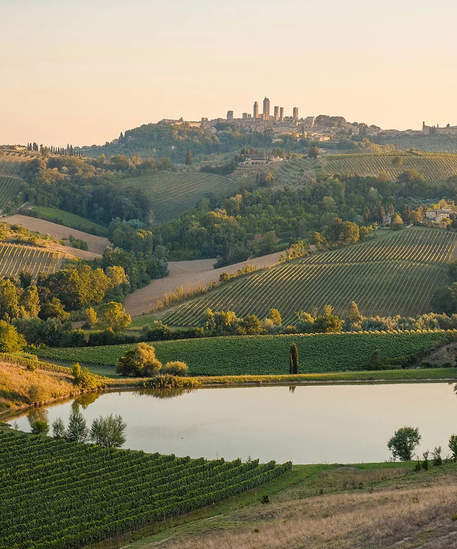 order sender enterprise vendita vini banfi copia commissione agenti